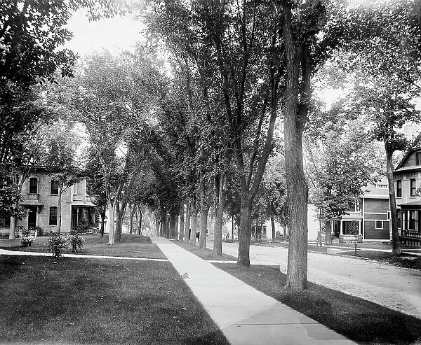Madison, Wisconsin, East Gilman Street, between 1880 and 1899. Creator: Unknown
