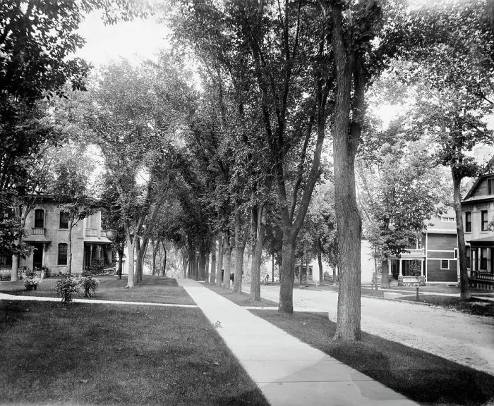 Framed Print : Madison, Wisconsin, East Gilman Street, between 1880 and 1899. Creator: Unknown Framed Print : Madison, Wisconsin, East Gilman Street, between 1880 and 1899. Creator: Unknown