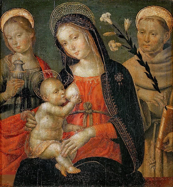 Madonna del Latte with Saints Mary Magdalene and Anthony of Padua, Late 15th cen. Creator: Lo Spagna, (Giovanni di Pietro) (1450-1528)