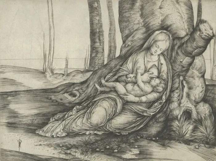 Framed Print : The Madonna nursing the Christ Child at the foot of a tree, ca. 1502-3. Creator: Jacopo de Barbari Framed Print : The Madonna nursing the Christ Child at the foot of a tree, ca. 1502-3. Creator: Jacopo de Barbari