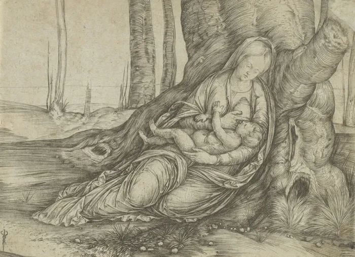 Framed Print : The Madonna nursing the Christ Child at the foot of a tree, ca. 1501-3. Creator: Jacopo de Barbari Framed Print : The Madonna nursing the Christ Child at the foot of a tree, ca. 1501-3. Creator: Jacopo de Barbari