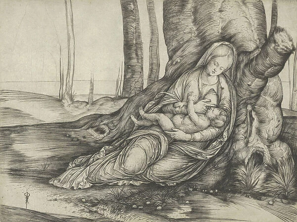 The Madonna nursing the Christ Child at the foot of a tree, ca. 1502-3. Creator: Jacopo de Barbari