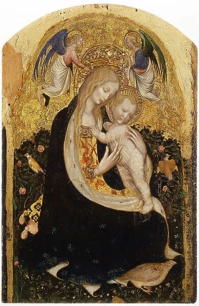 Madonna of the Quail (Madonna della Quaglia)
