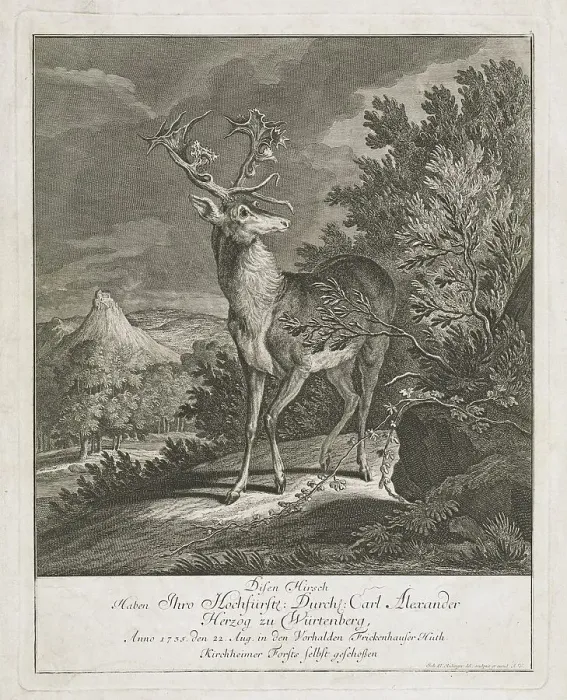 Framed Print : A Magnificent Stag in a Landscape, 1735. Creator: Johann Elias Ridinger Framed Print : A Magnificent Stag in a Landscape, 1735. Creator: Johann Elias Ridinger