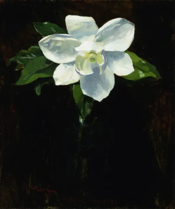Framed Print : Magnolia, 1895. Creator: Charles Walter Stetson Framed Print : Magnolia, 1895. Creator: Charles Walter Stetson
