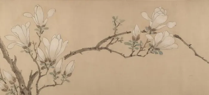 Framed Print : Magnolia, dated 1549. Creator: Unknown Framed Print : Magnolia, dated 1549. Creator: Unknown