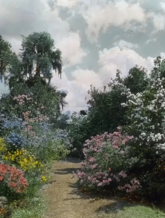 Framed Print : Magnolia Plantation, 3550 Ashley River Road, Charleston, South Carolina, 1928. Creator: Frances Benjamin Johnston. Magnolia Plantation, 3550 Ashley River Road, Charleston, South Carolina, 1928. Creator: Frances Benjamin Johnston Framed Print : Magnolia Plantation, 3550 Ashley River Road, Charleston, South Carolina, 1928. Creator: Frances Benjamin Johnston. Magnolia Plantation, 3550 Ashley River Road, Charleston, South Carolina, 1928. Creator: Frances Benjamin Johnston