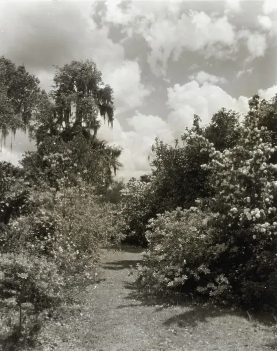Framed Print : Magnolia Plantation, 3550 Ashley Road, Charleston, South Carolina, 1928. Creator: Frances Benjamin Johnston. Magnolia Plantation, 3550 Ashley Road, Charleston, South Carolina, 1928. Creator: Frances Benjamin Johnston Framed Print : Magnolia Plantation, 3550 Ashley Road, Charleston, South Carolina, 1928. Creator: Frances Benjamin Johnston. Magnolia Plantation, 3550 Ashley Road, Charleston, South Carolina, 1928. Creator: Frances Benjamin Johnston