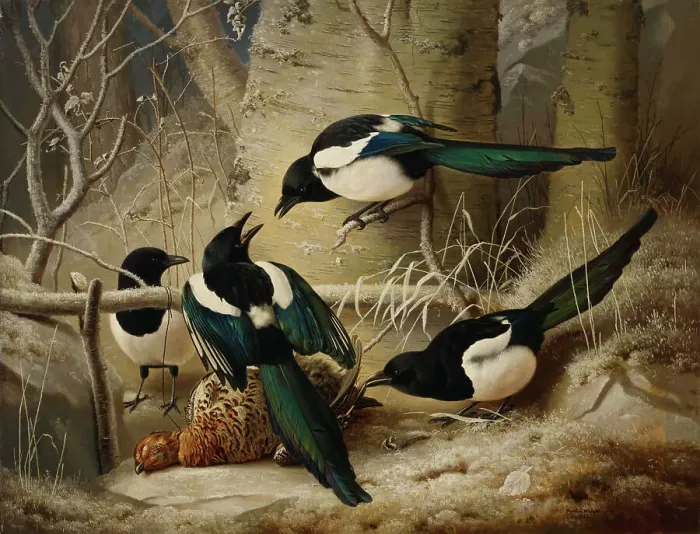 Framed Print : Magpies round a Dead Female Capercaillie, 1867. Creator: Ferdinand von Wright