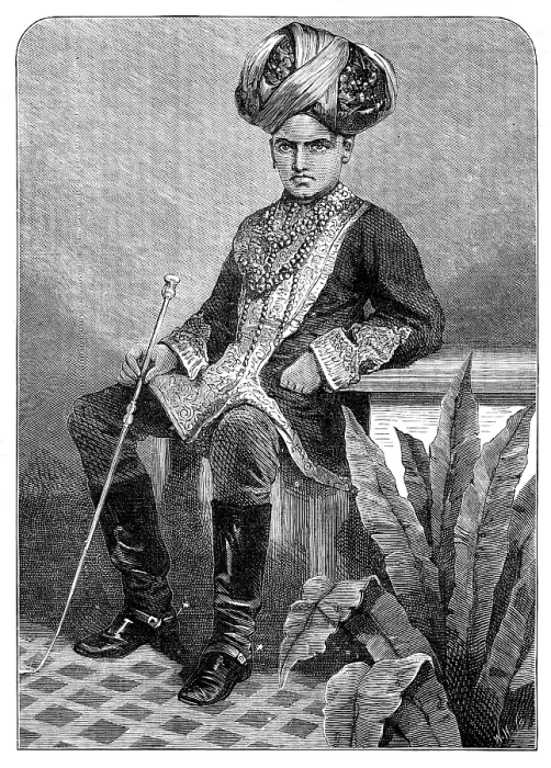 Framed Print : The Maharajah of Mysore in his childhood, 1881. Creator: Unknown Framed Print : The Maharajah of Mysore in his childhood, 1881. Creator: Unknown