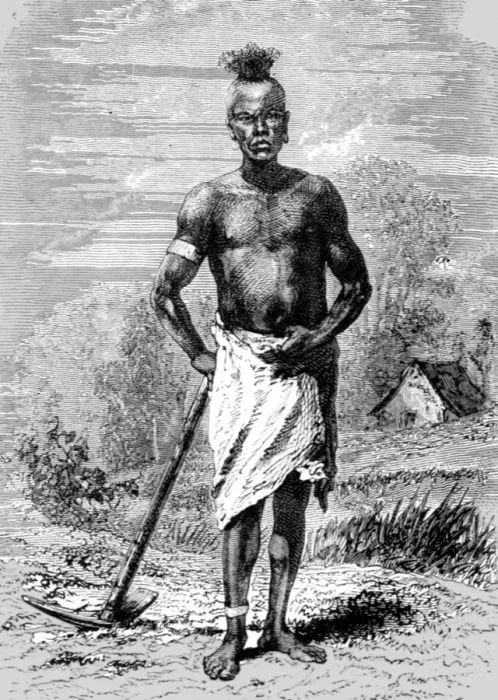 Framed Print : Mahe Labourer; An Excursion in Dahomey, 1871. Creator: J. Alfred Skertchly Framed Print : Mahe Labourer; An Excursion in Dahomey, 1871. Creator: J. Alfred Skertchly