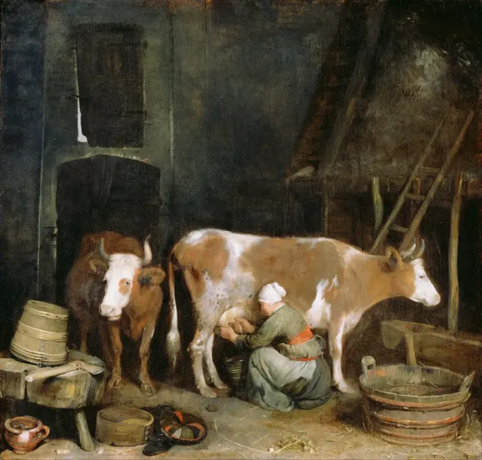 Framed Print : A Maid Milking a Cow in a Barn, 1652-1654. Artist: Ter Borch, Gerard, the Younger Framed Print : A Maid Milking a Cow in a Barn, 1652-1654. Artist: Ter Borch, Gerard, the Younger