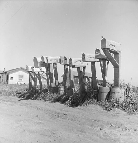 Mail boxes of lettuce workers. Settlement on outskirts of Salinas, California, 1939. Creator: Dorothea Lange