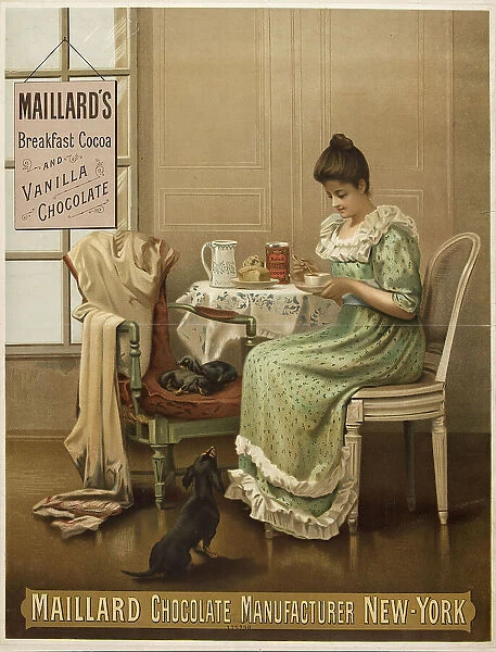 Maillard's breakfast cocoa and vanilla chocolate. Maillard chocolate manufacturer New-York,1889-1891 Creator: Anonymous