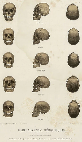 Main cranological types... 1862. Creator: Unknown