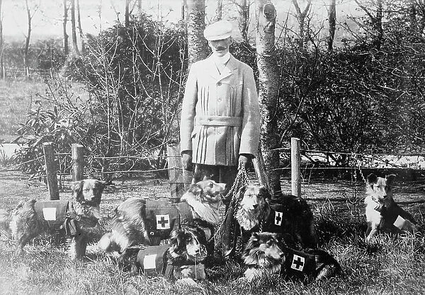 Maj. Richardson & British Red Cross dogs, between 1914 and c1915. Creator: Bain News Service. Maj. Richardson & British Red Cross dogs, between 1914 and c1915. Creator: Bain News Service