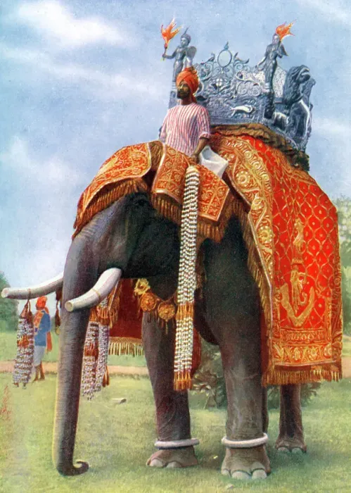 Framed Print : A majestic elephant at Bengals chief festive gathering, India, 1922. Artist: L Barber Framed Print : A majestic elephant at Bengals chief festive gathering, India, 1922. Artist: L Barber