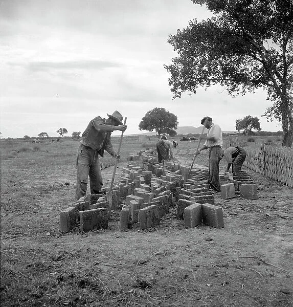 Making adobe bricks, Bosque Farms project, New Mexico, 1935. Creator: Dorothea Lange