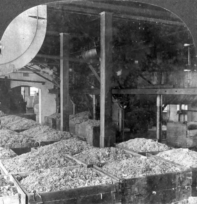 Framed Print : Making paper from rags, Holyoke, Massachusetts, USA, 20th century. Artist: Keystone View Company Framed Print : Making paper from rags, Holyoke, Massachusetts, USA, 20th century. Artist: Keystone View Company