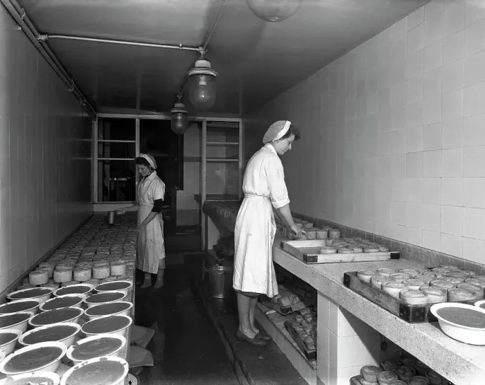 Framed Print : Making pork pies, Schonhuts butchery factory, Rawmarsh, South Yorkshire, 1955. Artist Framed Print : Making pork pies, Schonhuts butchery factory, Rawmarsh, South Yorkshire, 1955. Artist
