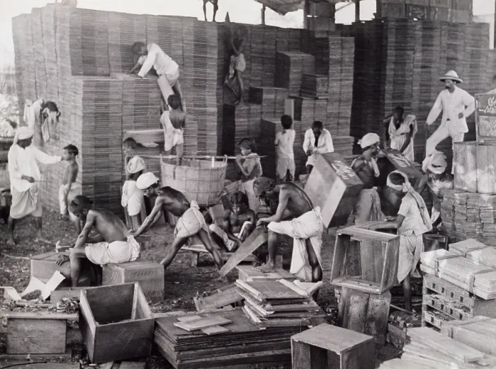Framed Print : Making tea boxes, Bengal, c1920. Creator: Bourne & Shepherd Framed Print : Making tea boxes, Bengal, c1920. Creator: Bourne & Shepherd