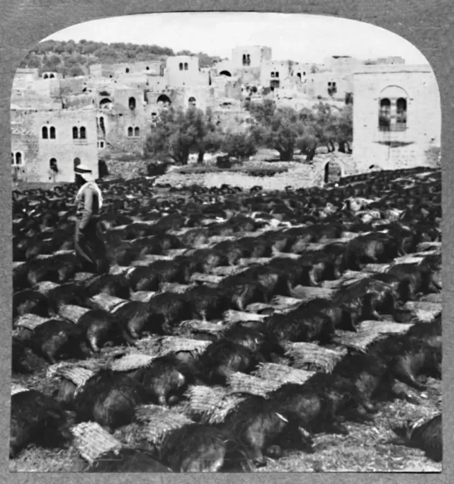 Framed Print : Making wine bottles, Hebron, c1900 Framed Print : Making wine bottles, Hebron, c1900