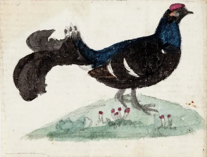 Framed Print : Male Black Grouse, 1831. Creator: Ferdinand von Wright Framed Print : Male Black Grouse, 1831. Creator: Ferdinand von Wright