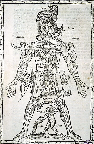 Male body with signs of the Zodiac, sheet in the work Epilogue of medicine and surgery