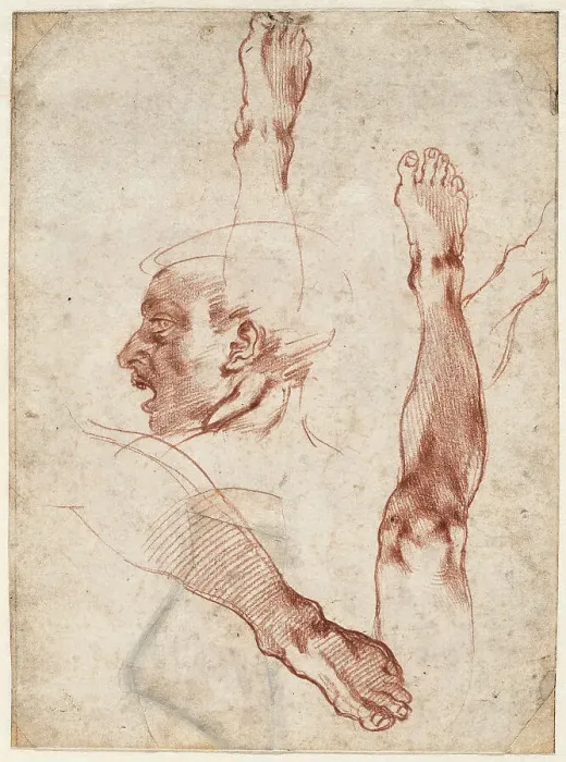 Framed Print : Male head in profile, studies of limbs, 1511. Creator: Buonarroti, Michelangelo (1475-1564) Framed Print : Male head in profile, studies of limbs, 1511. Creator: Buonarroti, Michelangelo (1475-1564)