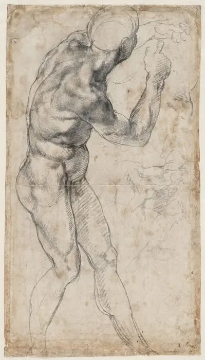 Framed Print : Male nude, turning to the right, 1504 or 1506. Creator: Buonarroti, Michelangelo (1475-1564)