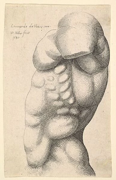 Male torso from neck to hip in profile to left, 1645. Creator: Wenceslaus Hollar