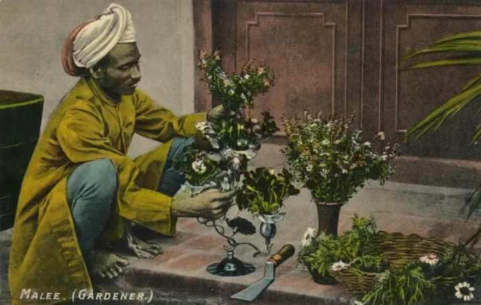 Framed Print : Malee (Gardener), c1900 Framed Print : Malee (Gardener), c1900