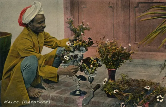 Framed Print : Malee. (Gardener), c1910. Creator: Unknown Framed Print : Malee. (Gardener), c1910. Creator: Unknown