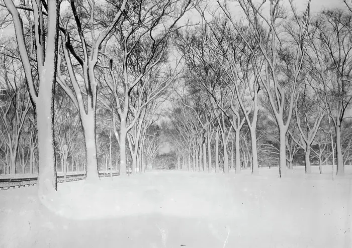 Framed Print : The Mall, Central Park, between c1910 and c1915. Creator: Bain News Service