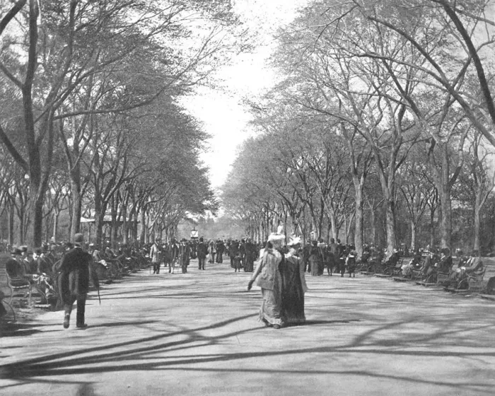 Framed Print : The Mall, Central Park, New York, USA, c1900. Creator: Unknown Framed Print : The Mall, Central Park, New York, USA, c1900. Creator: Unknown