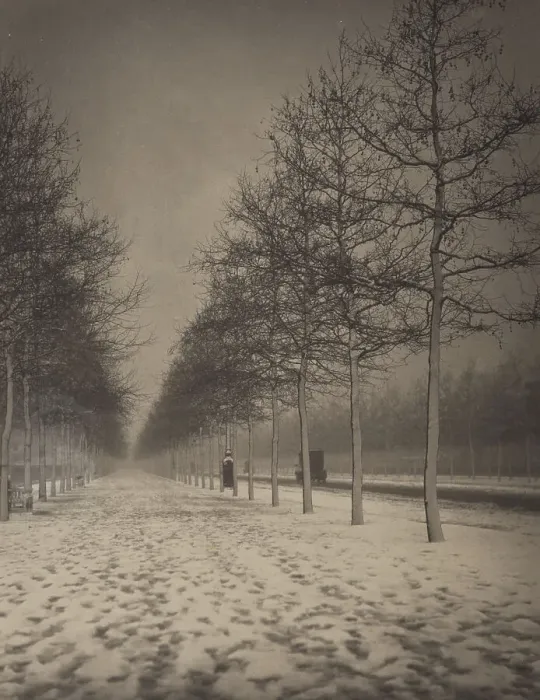 Framed Print : The Mall in winter, 1920s. Creator: Harry Moult Framed Print : The Mall in winter, 1920s. Creator: Harry Moult