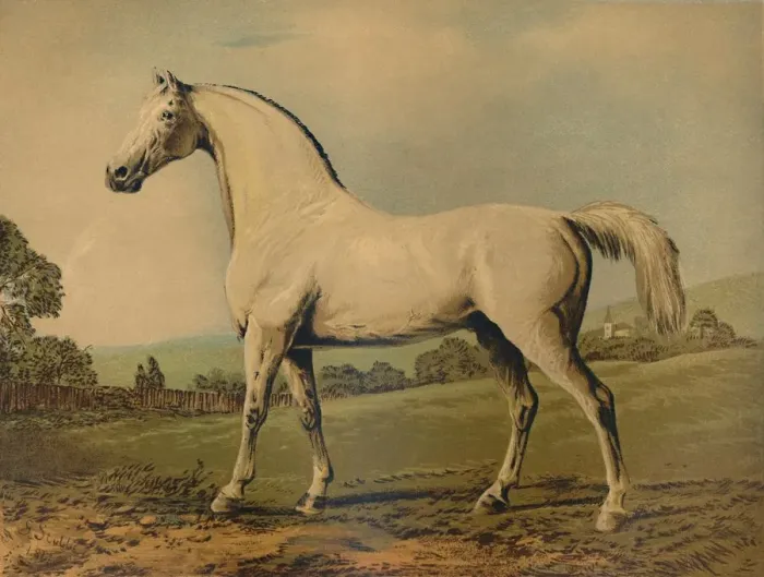Framed Print : Mambrino. Bred by Lord Grosvenor, c1770s, (c1879). Creator: George Stubbs Framed Print : Mambrino. Bred by Lord Grosvenor, c1770s, (c1879). Creator: George Stubbs