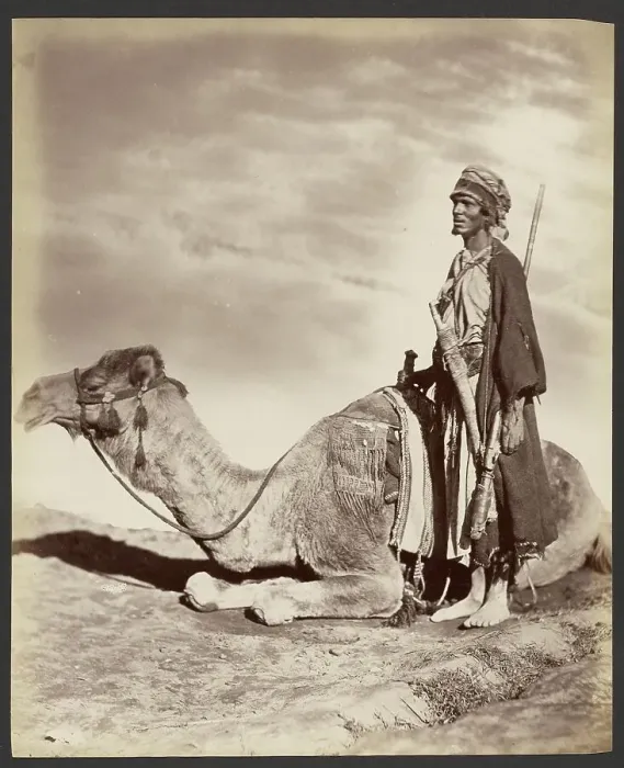 Framed Print : Man and camel, about 1870-1890. Creator: Unknown Framed Print : Man and camel, about 1870-1890. Creator: Unknown
