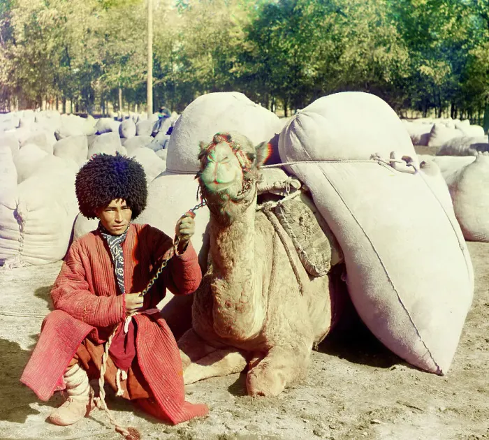 Framed Print : Man with camel loaded with packs, between 1905 and 1915. Creator: Sergey Mikhaylovich Prokudin-Gorsky Framed Print : Man with camel loaded with packs, between 1905 and 1915. Creator: Sergey Mikhaylovich Prokudin-Gorsky