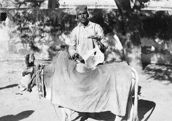 Man with a deformed cow, India, 1916-1917