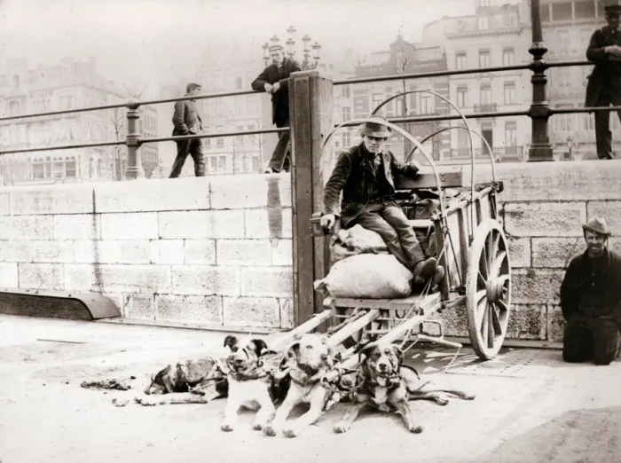 Framed Print : Man with dogcart, Antwerp, 1898. Artist: James Batkin Framed Print : Man with dogcart, Antwerp, 1898. Artist: James Batkin