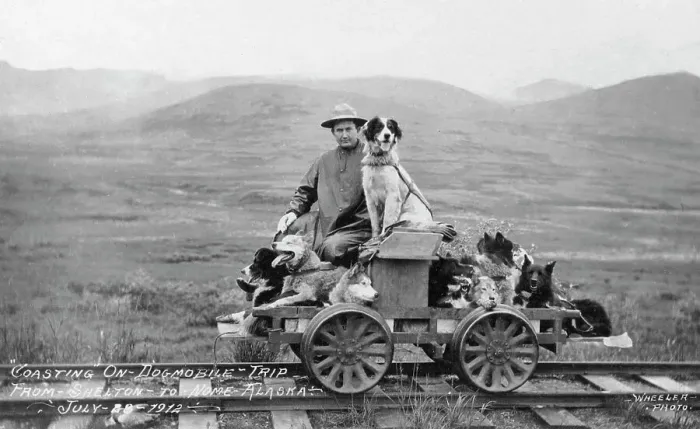 Framed Print : Man and dogs on rail cart trip from Shelton to Nome, 1912. Creator: Unknown Framed Print : Man and dogs on rail cart trip from Shelton to Nome, 1912. Creator: Unknown
