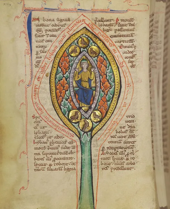 Framed Print : A Man Enthroned within a Mandorla in a Tree; Bestiary, about 1270. Creator: Unknown Framed Print : A Man Enthroned within a Mandorla in a Tree; Bestiary, about 1270. Creator: Unknown