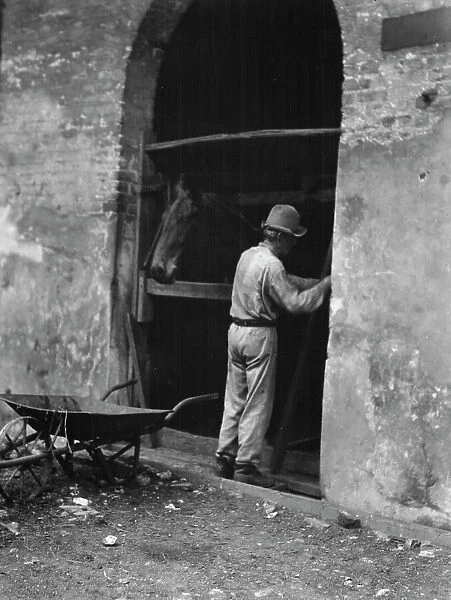 Man and horse in stall, New Orleans or Charleston, South Carolina, between 1920 and 1926. Creator: Arnold Genthe