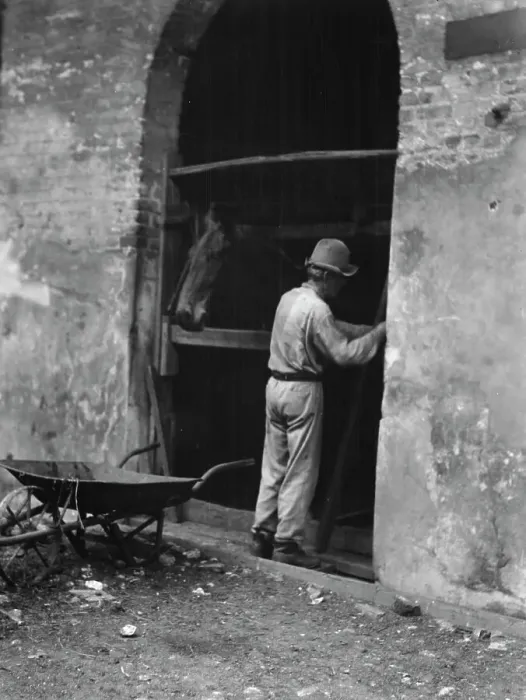 Framed Print : Man and horse in stall, New Orleans or Charleston, South Carolina, between 1920 and 1926. Creator: Arnold Genthe Framed Print : Man and horse in stall, New Orleans or Charleston, South Carolina, between 1920 and 1926. Creator: Arnold Genthe