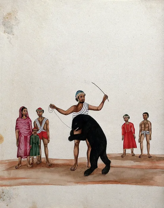 Framed Print : A man with his performing bear watched by a group of people, (between 1800 and 1899?). Creator: Unknown Framed Print : A man with his performing bear watched by a group of people, (between 1800 and 1899?). Creator: Unknown