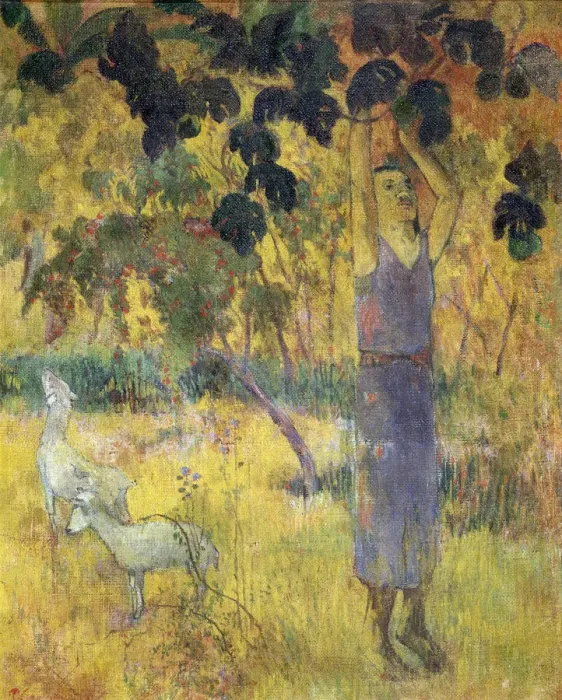 Framed Print : Man Picking Fruit from a Tree, 1897. Artist: Paul Gauguin Framed Print : Man Picking Fruit from a Tree, 1897. Artist: Paul Gauguin