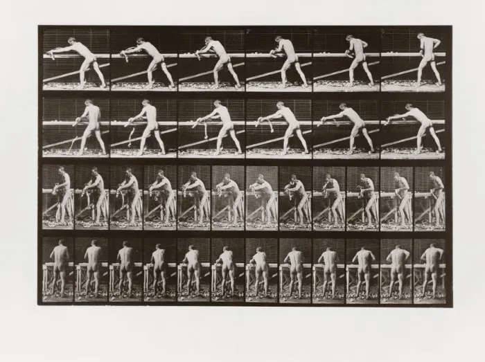 Framed Print : Man planing wood, Plate 379 from Animal Locomotion, 1887 (photograph) Framed Print : Man planing wood, Plate 379 from Animal Locomotion, 1887 (photograph)