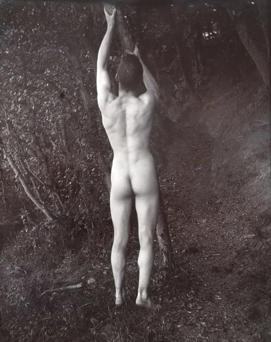 Framed Print : A man posing naked, with his back to the camera, holding on to a branch of a tree, c1900. Creator: Unknown Framed Print : A man posing naked, with his back to the camera, holding on to a branch of a tree, c1900. Creator: Unknown