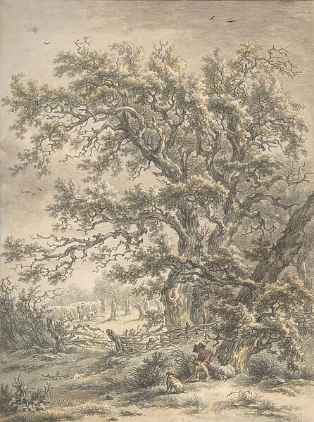 A Man Resting Under a Tree, n. d Creator: Egbert van Drielst